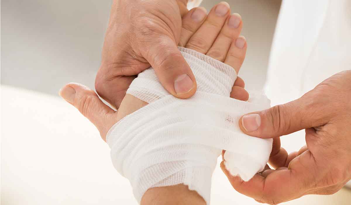 Dakota Experts Unlock Secrets of Cellular Healing Process