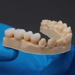 Composite Resin for Teeth, Dental Resin 3D Printing and Acrylic Resin for Dentures